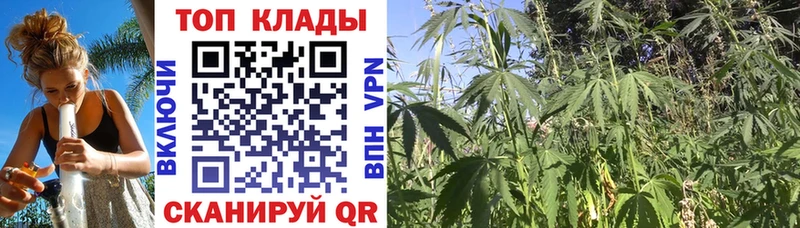 Купить закладку АМФЕТАМИН  Галлюциногенные грибы  МЕФ  Каннабис  ГАШИШ  Alpha PVP  Ковылкино