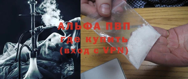 прущие грибы Волоколамск