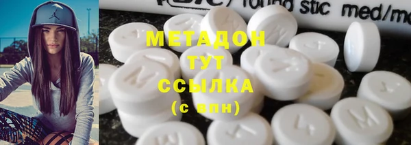 прущие грибы Волоколамск
