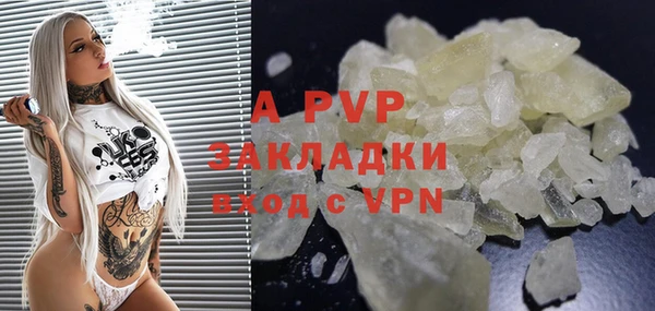 прущие грибы Волоколамск