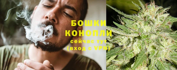 прущие грибы Волоколамск
