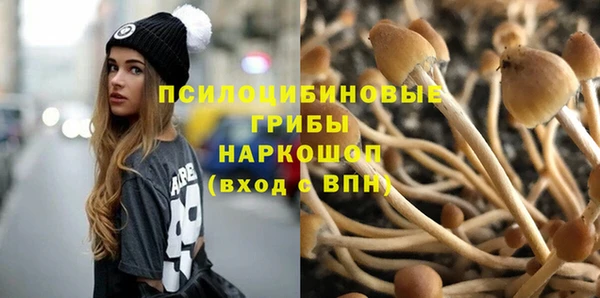стафф Волосово