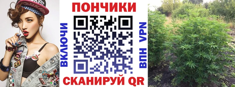 Купить закладки  Ковылкино  Конопля марихуана 